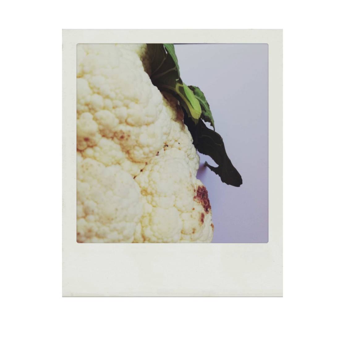 Cavolfiore_instaloop