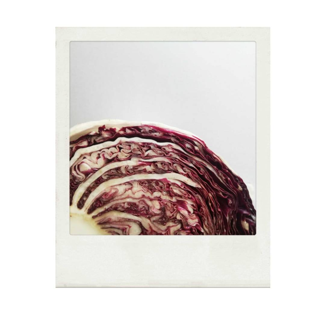 Radicchio